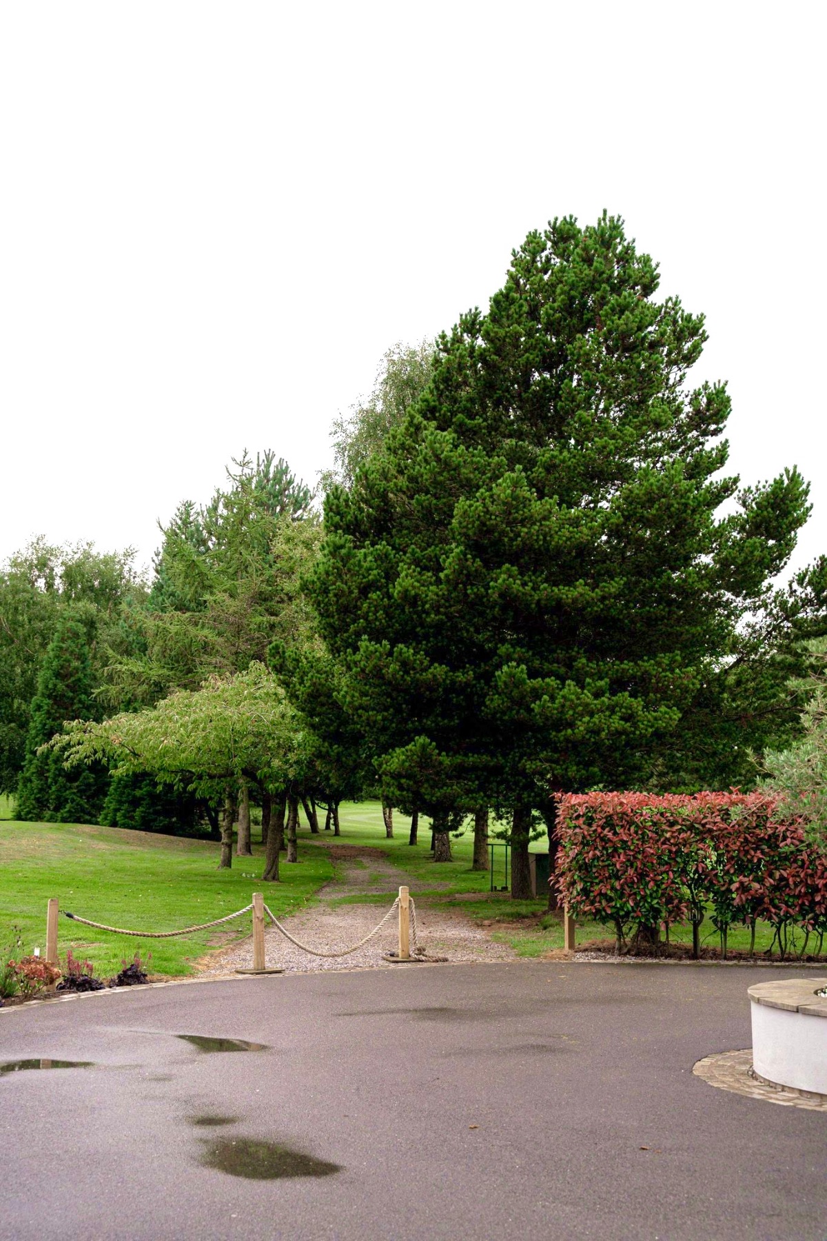 Gallery Item 6 for Room One Hartford Golf Club